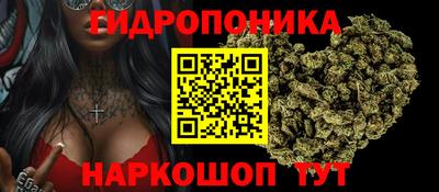 гашик Усть-Илимск