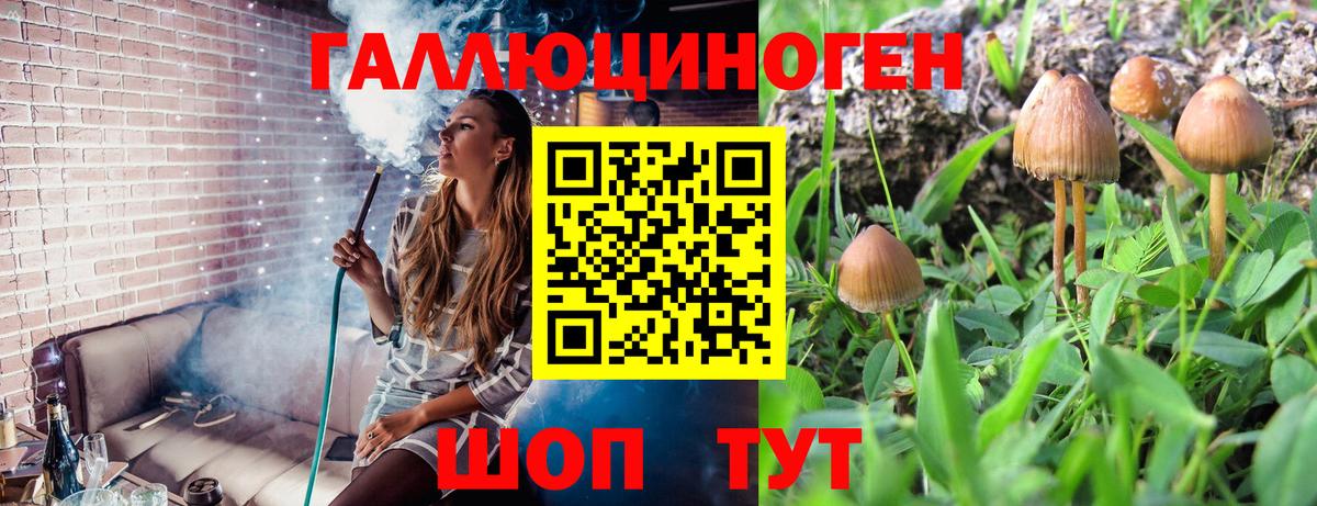 Махачкала  Галлюциногенные грибы мицелий  Вход с VPN  Галлюциногенные грибы MAGIC MUSHROOMS 