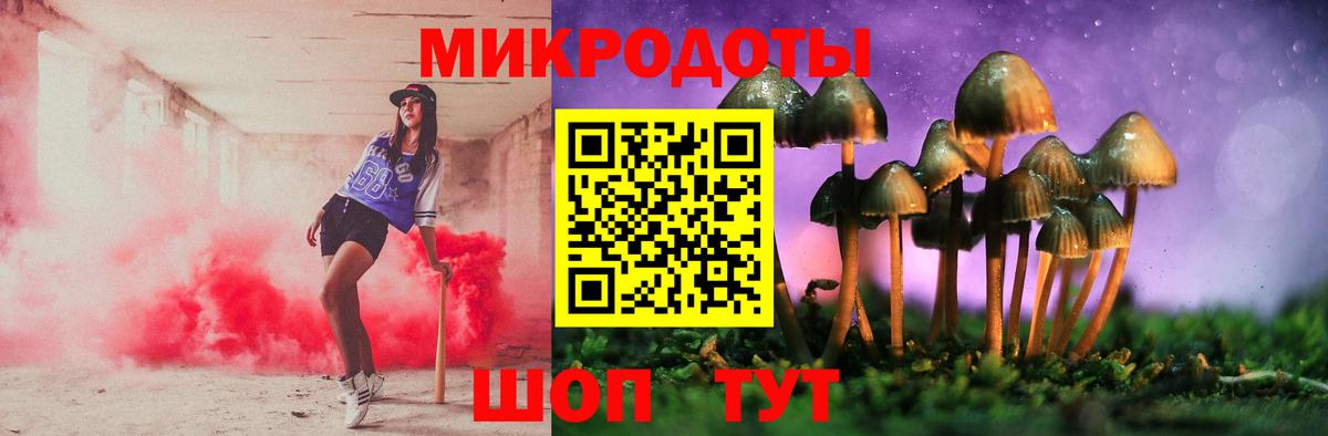 Псилоцибиновые грибы Psilocybine cubensis Махачкала